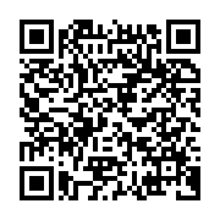 Boston Celtics Essential