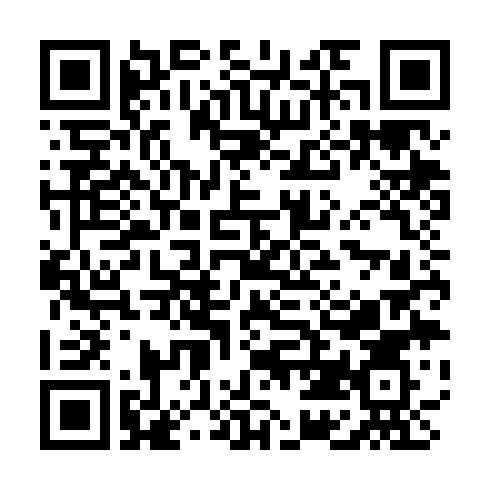 Boston Celtics Courtside